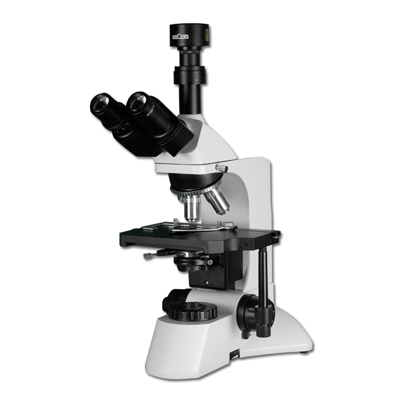 L320 生物开云电子