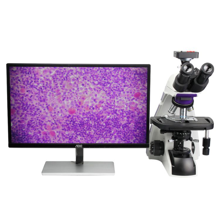 XE1016高档生物开云电子